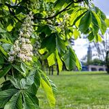 Die vier Jahreszeiten im Klosterbergegarten