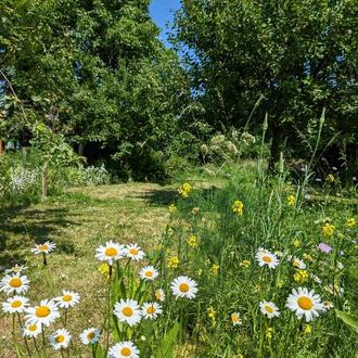 Erzählcafé Spätlese:„Die Sudenburger Streuobstwiese“
