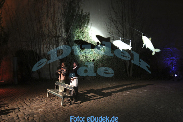 Fastnacht_2011_dudek_018