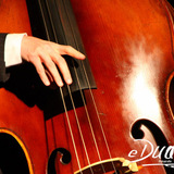 Thumb_corinne_mai2013_dudek-4947