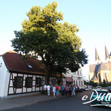 Thumb_sudenburg2013_dudek-2641