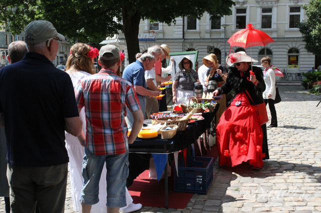 Markt1814_picknick_dudek-2504