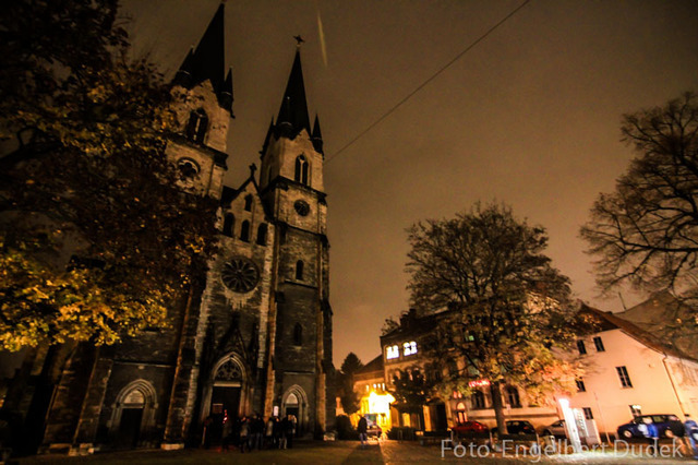 Drive_darlings_nov2014_edudek-7165