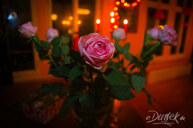 Valentinstag_2015_edudek-4491