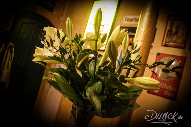 Carmen-maja_antoni_15.11.2015_edudek-6231