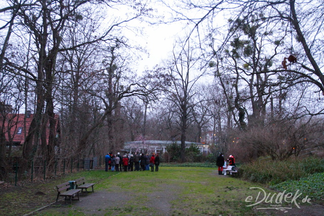 Winterwald_klosterberge_2015_edudek-8323