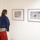 Thumb_luge-ludewig-ausstellung-fw-619-_c_-wenzel-oschington