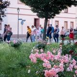 Thumb_fuehrung-sudenburg-506-wenzel-oschington