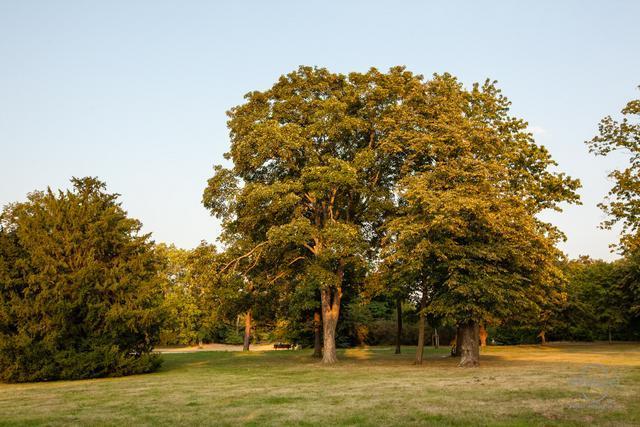 Fuehrung-klosterbergegarten-404-wenzel-oschington