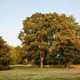 Thumb_fuehrung-klosterbergegarten-404-wenzel-oschington