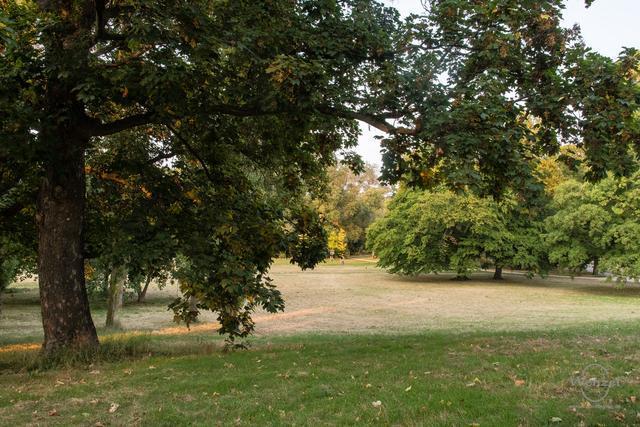 Fuehrung-klosterbergegarten-407-wenzel-oschington