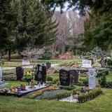 Thumb_fuehrung-suedfriedhof-405-wenzel-oschington