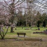 Thumb_fuehrung-suedfriedhof-412-wenzel-oschington