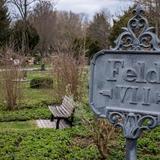 Thumb_fuehrung-suedfriedhof-414-wenzel-oschington