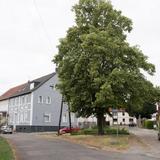 Thumb_fuehrung-diesdorf-416-wenzel-oschington