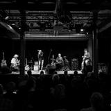 Thumb_pass.over.blues-513-wenzel-oschington