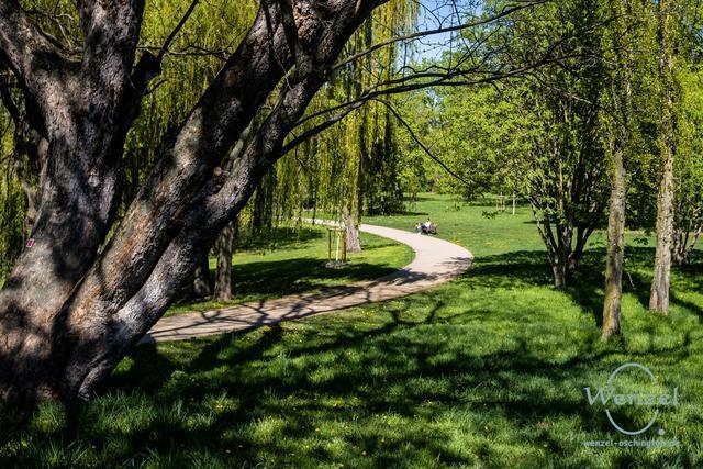 Fruehling.klosterbergegarten-407-wenzel-oschington