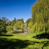 Thumb_fruehling.klosterbergegarten-410-wenzel-oschington