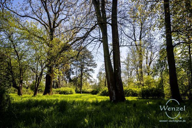 Fruehling.klosterbergegarten-415-wenzel-oschington