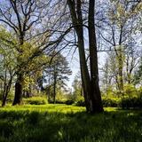 Thumb_fruehling.klosterbergegarten-415-wenzel-oschington