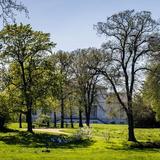 Thumb_fruehling.klosterbergegarten-420-wenzel-oschington