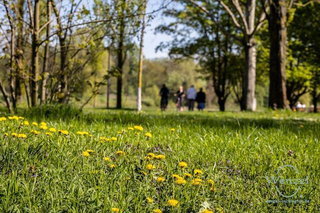 Fruehling.klosterbergegarten-422-wenzel-oschington
