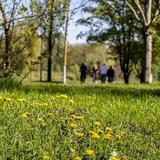 Thumb_fruehling.klosterbergegarten-422-wenzel-oschington