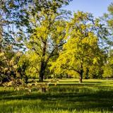 Thumb_herrenkrug.fuehrung-411-wenzel-oschington