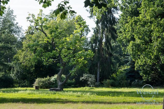 Herrenkrug.fuehrung-415-wenzel-oschington