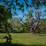 Thumb_herrenkrug.fuehrung-423-wenzel-oschington