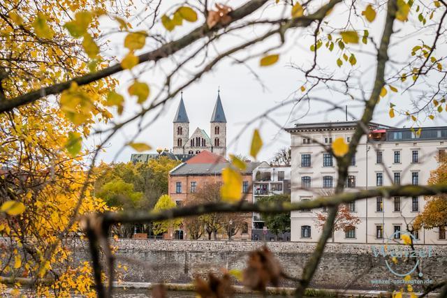 Daemerl.fuehrung-410-wenzel-oschington