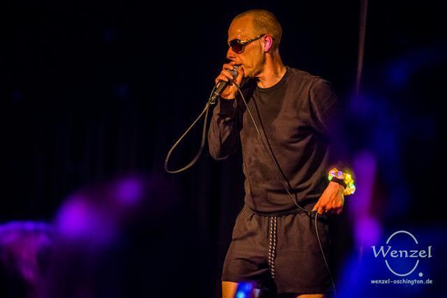 Tomas.tulpe-424-wenzel-oschington